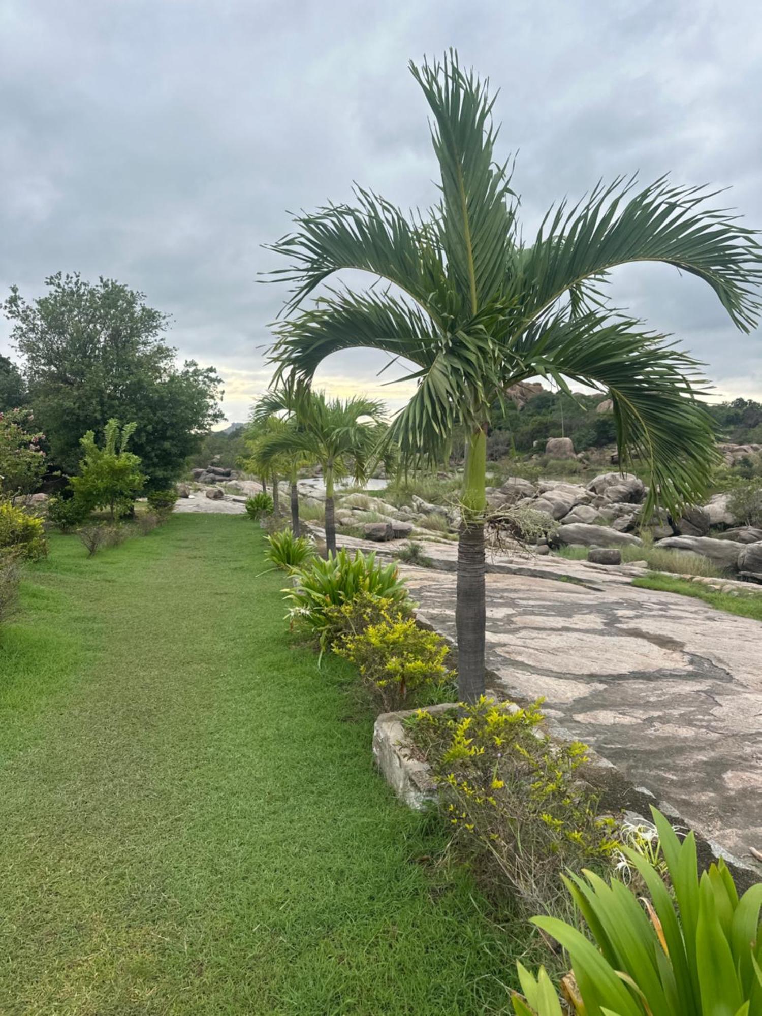 Leo Wooden Resorts Hampi Ngoại thất bức ảnh